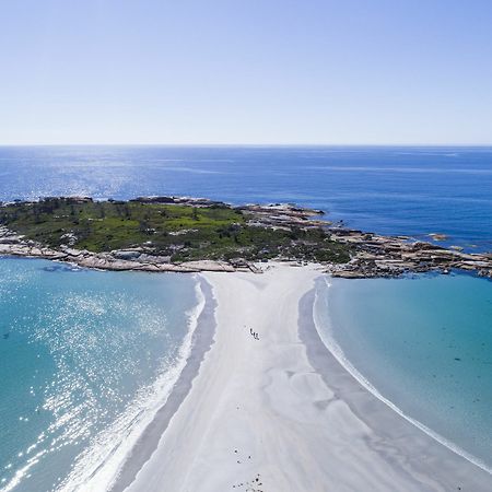 Diamond Island Resort, Restaurant & Bar And Penguin Show Bicheno Exterior foto